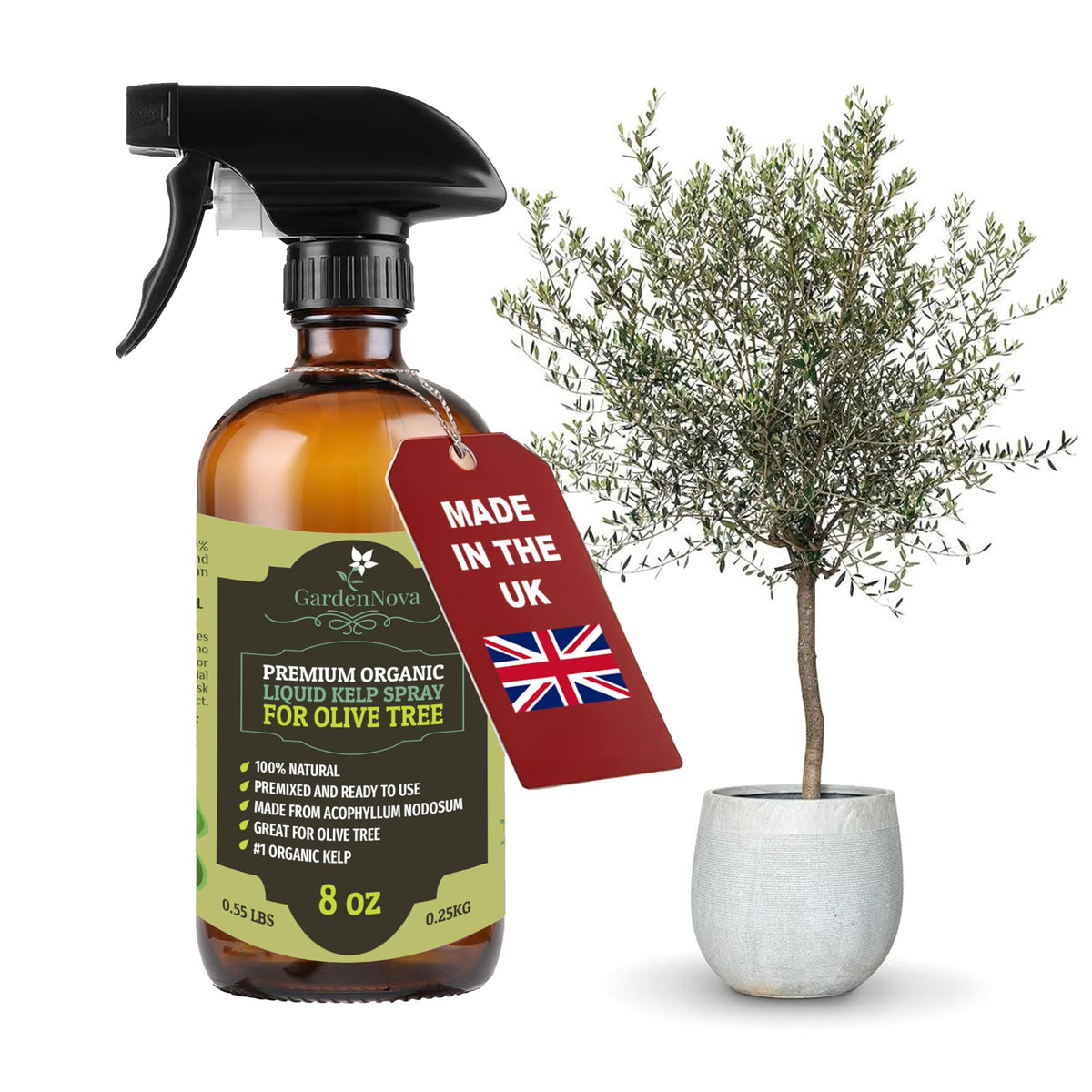 GARDENNOVA Professional Organic Liquid Kelp Spray for Olive Tree Plants - 8 oz - Ready-to-Use Fully Organic Seaweed & Kelp Fertilizer Mist