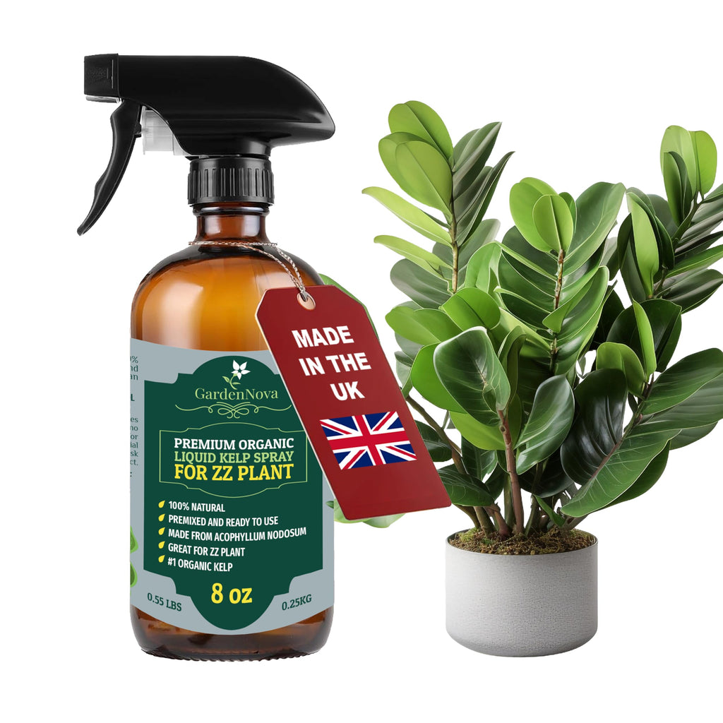 GARDENNOVA Professional Organic Liquid Kelp Spray for ZZ Plant Plants - 8 oz - Ready-to-Use Fully Organic Seaweed & Kelp Fertilizer Mist
