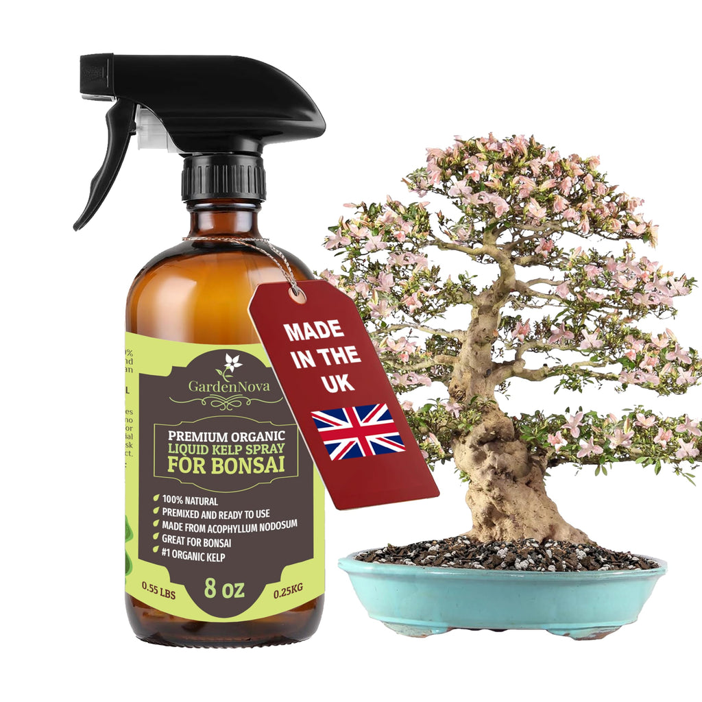 GARDENNOVA Professional Organic Liquid Kelp Spray for Bonsai Trees Plants - 8 oz - Ready-to-Use Fully Organic Seaweed & Kelp Fertilizer Mist