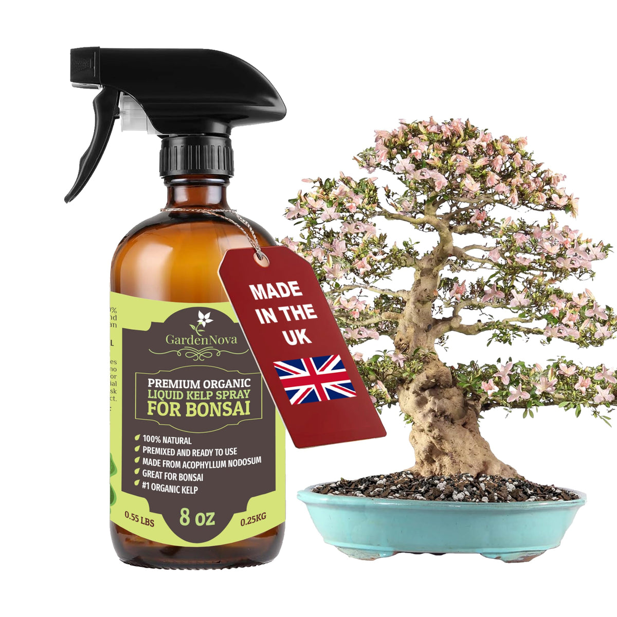 GARDENNOVA Professional Organic Liquid Kelp Spray for Bonsai Trees Plants - 8 oz - Ready-to-Use Fully Organic Seaweed & Kelp Fertilizer Mist