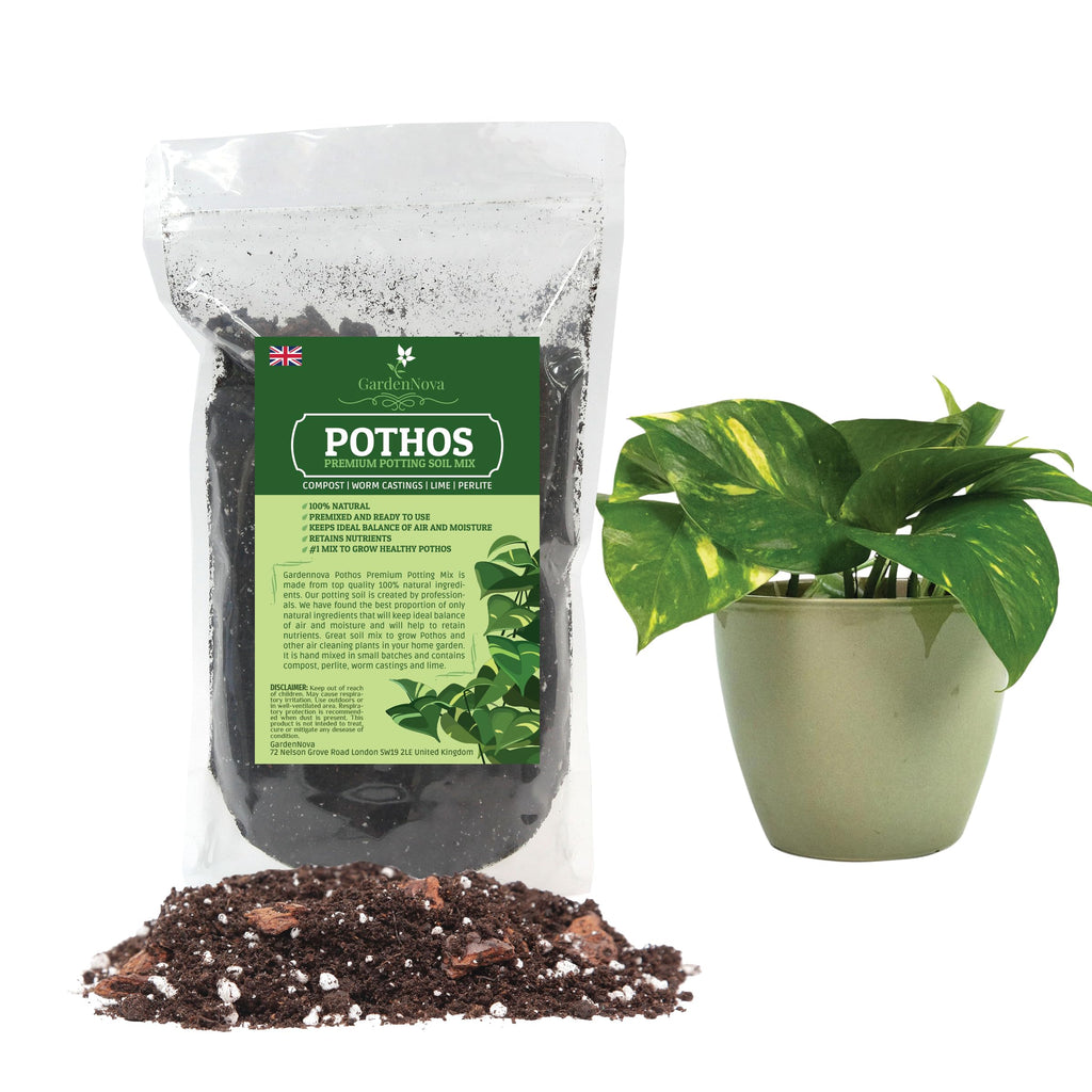 Premium Pothos Potting Soil Mix - Air Cleaning Plant Potting Mix, Soil Mix for Pothos, Parlor Palm, Peace Lily - 10 Litres (2 Bags of 5 Litres)