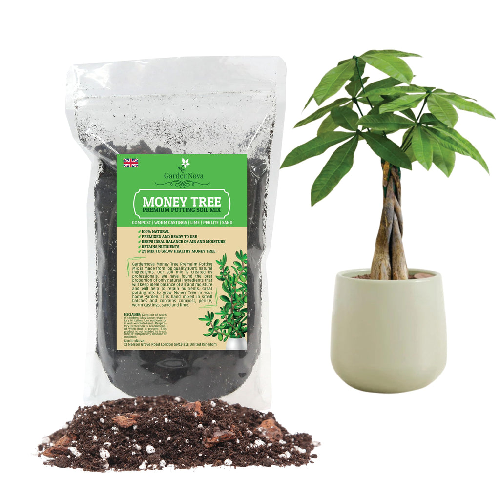 Money Tree Soil Mix for Planting or Repotting Guiana Chestnut, Soil Blended to Properly Grow Money Tree Plants - (3 Liters Bag)