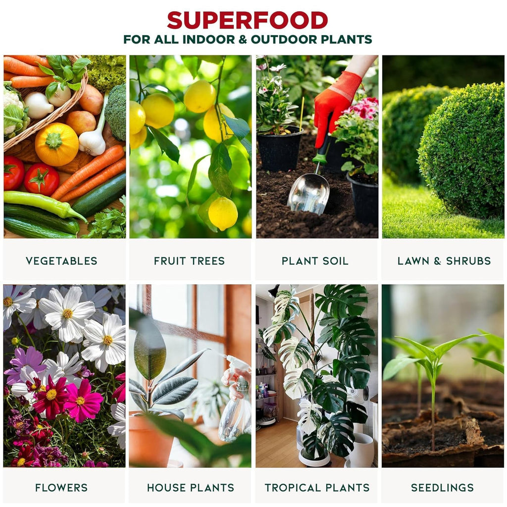 GARDENNOVA Premium Organic Seaweed & Kelp Superfood for Succulents & Cacti Plants - 8 oz - Liquid Kelp Fertilizer Concentrate (Makes 25 Litres)